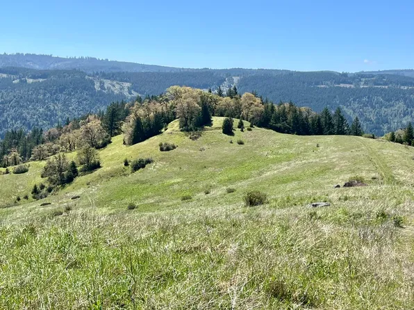 Sabertooth Rd, Blue Lake, CA 95525