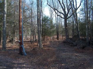 114 Phillips Rd, Newfoundland, PA 18445