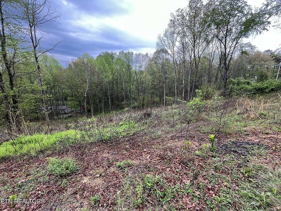 2nd image of 8221 Cricket Rd