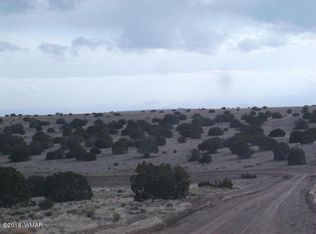 LOT 204 Lot 204 Elk Valley Rnch LOT 204, Saint Johns, AZ 85936