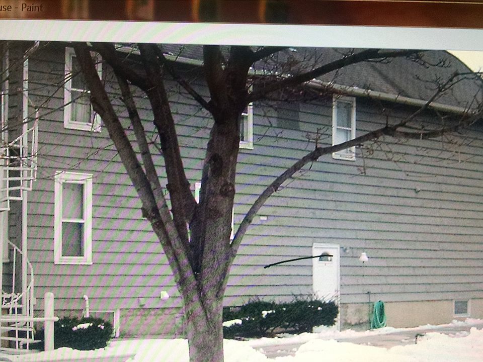 1st image of 316 N River St #B