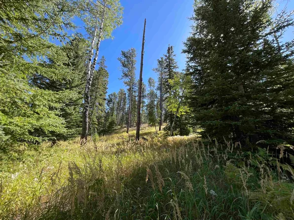 LOT 39 W Woodland Springs Rd, Lead, SD 57754