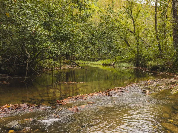 1444 Beech Creek Rd, Rogersville, TN 37857