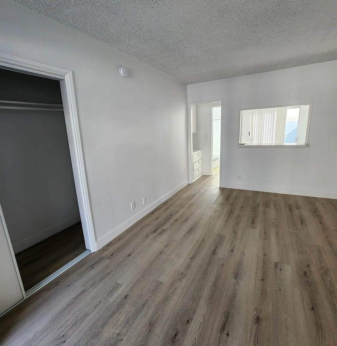 Studio, 378 sqft, $1,595 — Photo 1
