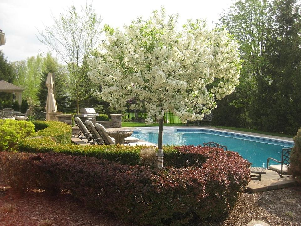 2nd image of 6436 Meadow Glen Dr