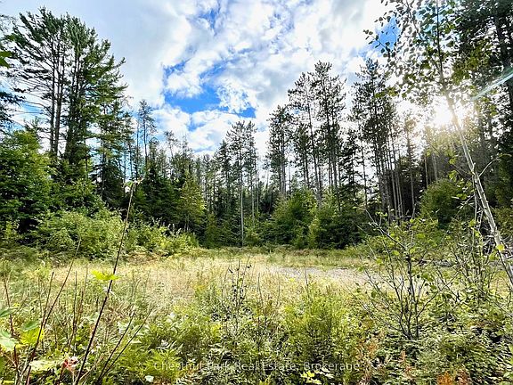 4th image of 0 Cardwell Lake Rd