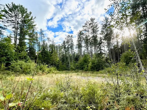 0 Cardwell Lake Rd, Huntsville, ON P0B 1M0