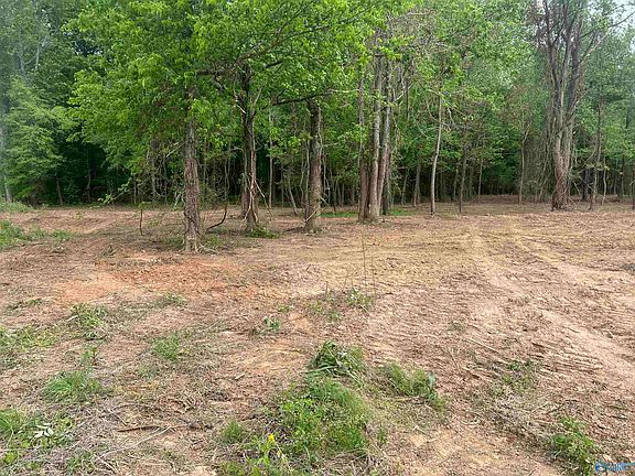 5th image of Tracts 7 & 8 Ed Ray Rd