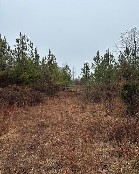2nd image of 305 McCullough School Rd