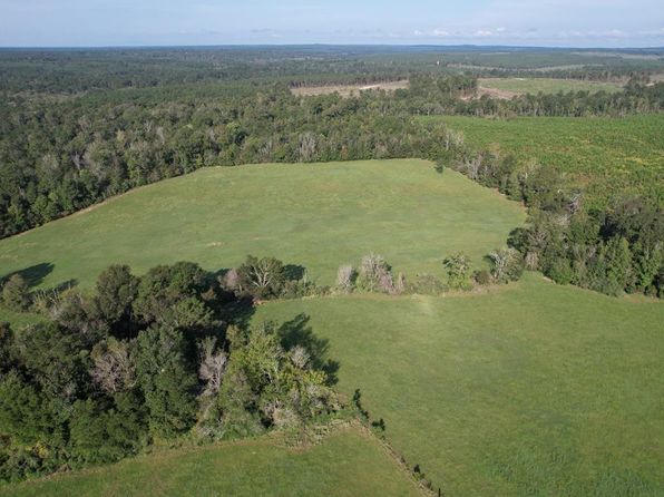 2057 County Road 1095, Wiergate, TX 75977