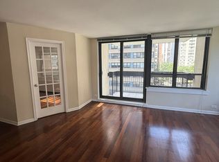 222 E Pearson St APT 501, Chicago, IL 60611