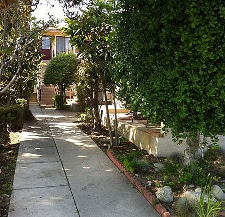 photo (5)