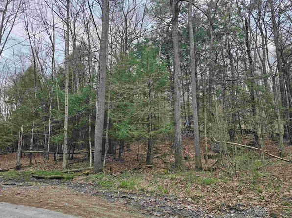 387 Weisenbach Road, Monkton, VT 05473