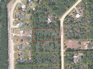 1366 Bayberry St, Bunnell, FL 32110