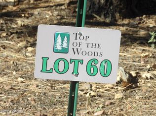2534 S Aspen Run #60, Pinetop, AZ 85935