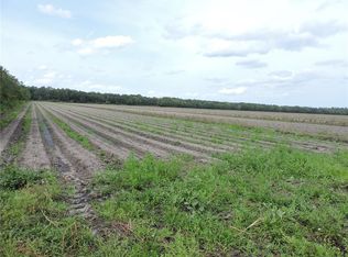 County Road 90 Rd E, Bunnell, FL 32110