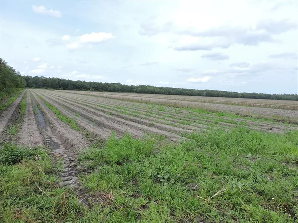 County Road 90 Rd E, Bunnell, FL 32110