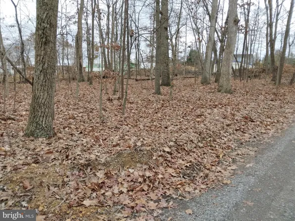 Homewood Ave, Falling Waters, WV 25419