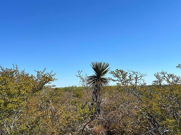 3rd image of Alejandrenas Rd