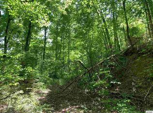 0 Park Dr #202-03, Gatlinburg, TN 37738