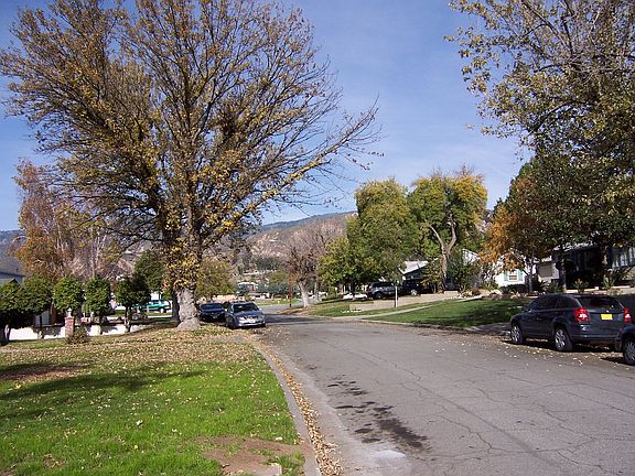 3rd image of 3750 Camellia Dr