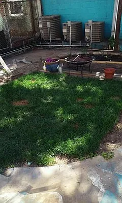 Rented by Blue Egg Realty Corp | media 36