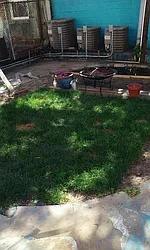 Rented by Blue Egg Realty Corp