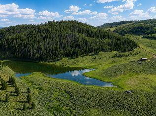 TBD County Road 225, Toponas, CO 80479
