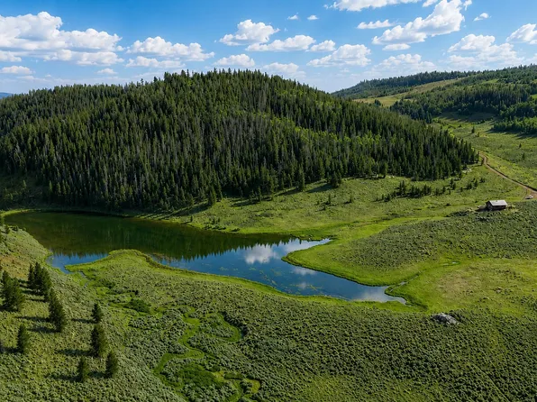 TBD County Road 225, Toponas, CO 80479