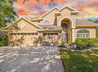 11645 Renaissance View Ct, Tampa, FL 33626