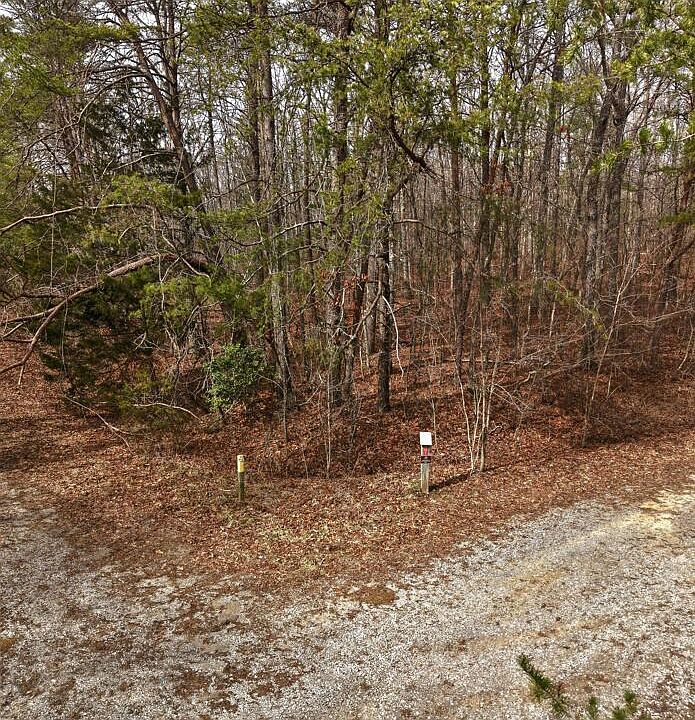 2nd image of 443 Marmaduke Dr