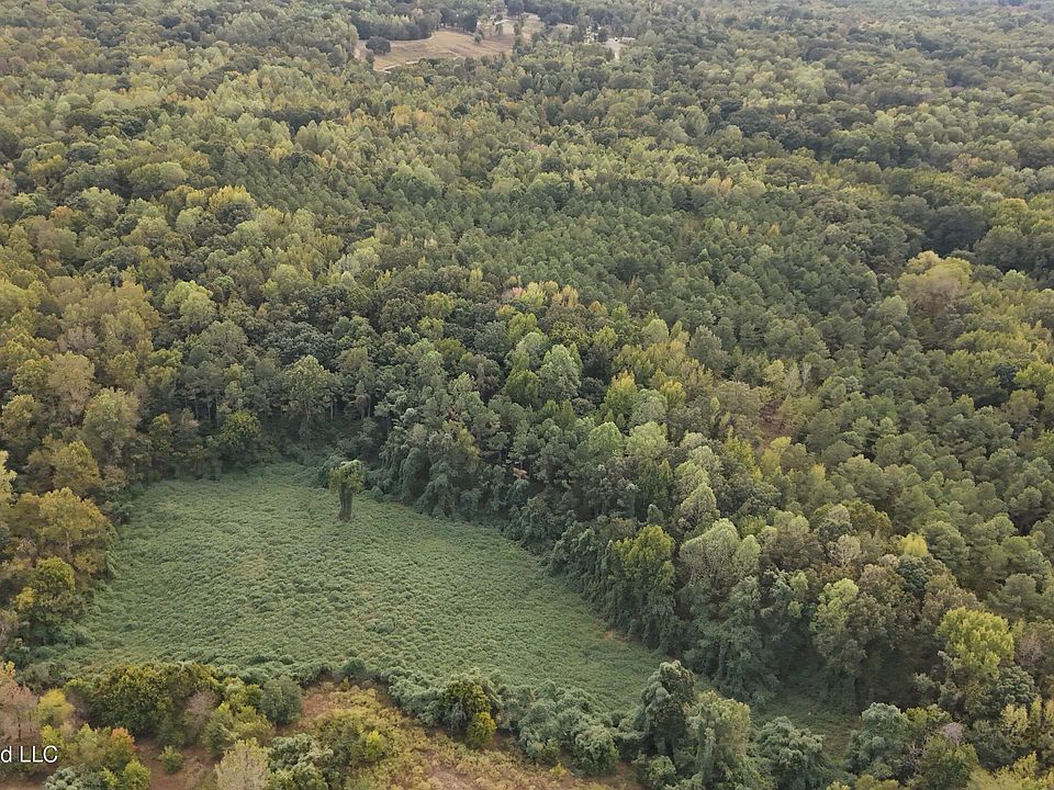 1st image of Bluff Rd