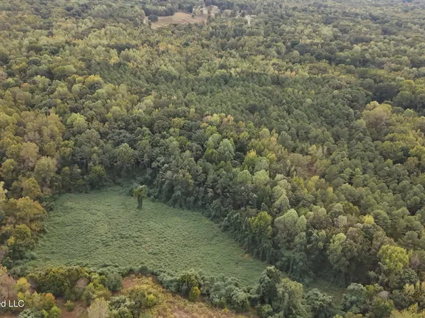 Bluff Rd, Hernando, MS 38632