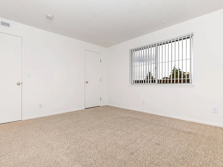 Shannon South Apartments — Photo 7