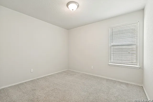 9019 Gibbons Trce — Photo 24