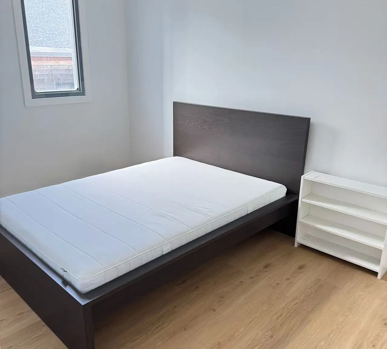 1 bed, $1,600 — Photo 3
