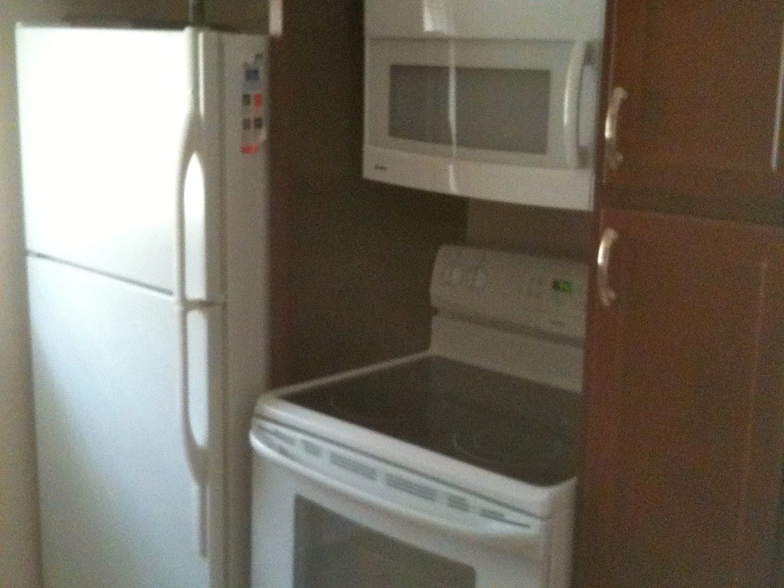 1 bed, 600 sqft, $950 — Photo 3