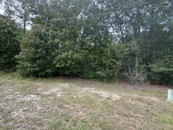 Lot 19 Ida Mill Road, Laurel Hill, NC 28351