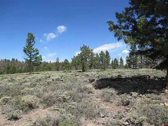 5th image of 809 Schofield Trail