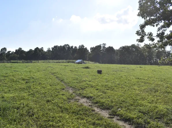 20298 Highway Vv, Licking, MO 65542