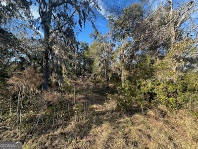 V/l 276 Harbour Island Cir, Waverly, GA, 31565