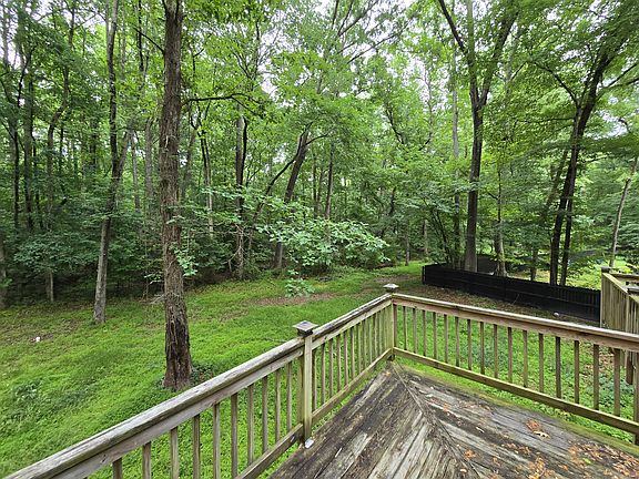 Lush, wooded backyard