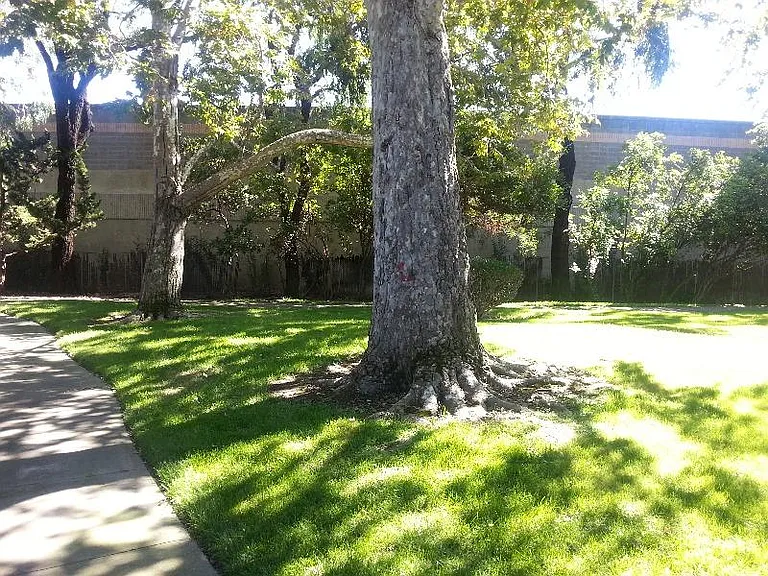 5637 Chestnut Cmn — Photo 11