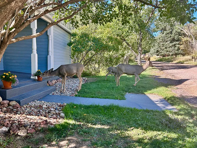 347 Glenway Ave — Photo 3