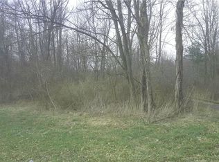 Eagle Creek Rd, Leavittsburg, OH 44430