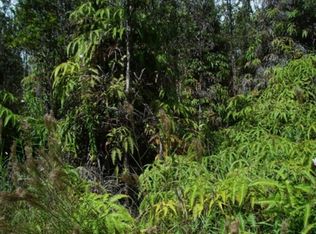 LOT 55 Lot 55, Volcano, HI 96785