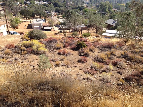 4th image of 955 Bristlecone Dr