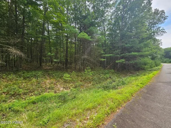 LOT 44 Ripplewood Dr, Tafton, PA 18464