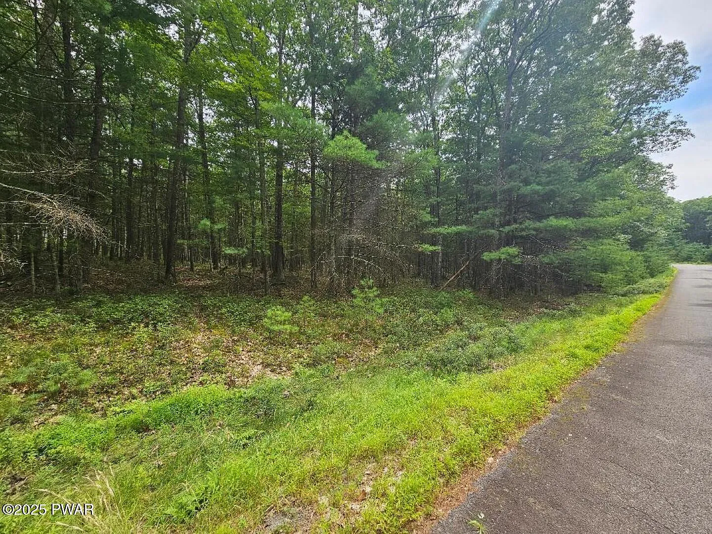 LOT 44 Ripplewood Dr photo 1