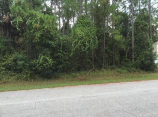 6 Llosee Ct, Palm Coast, FL 32164